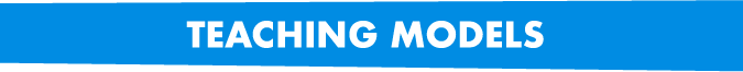 Teaching Models